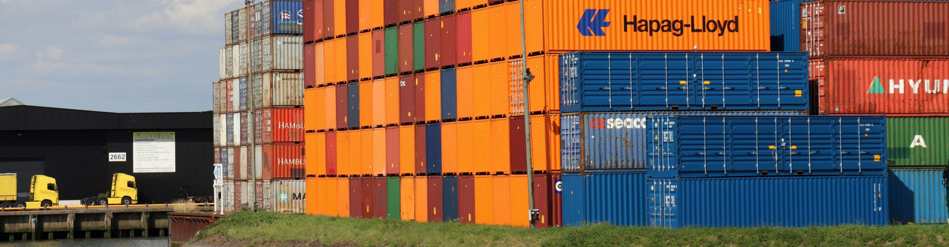 Vehicle and Cargo X-ray Scanner